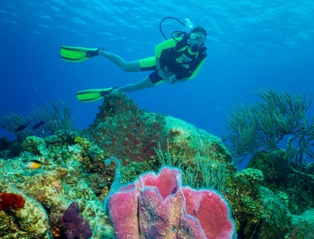 Discover Scuba Diving Cozumel