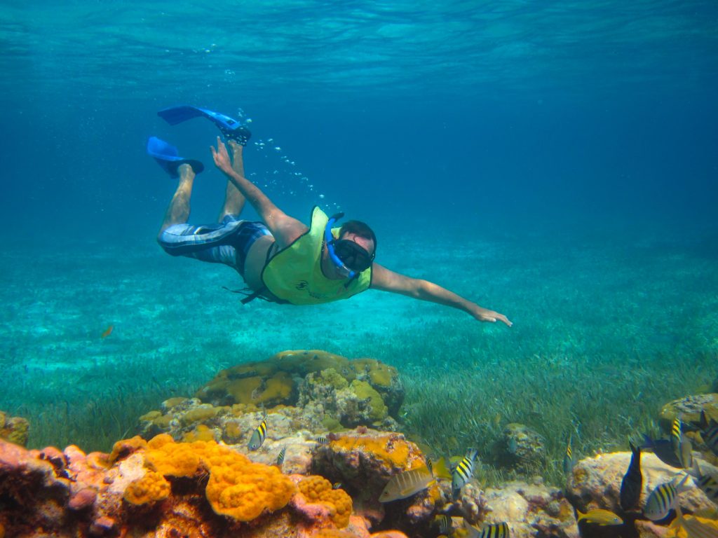cozumel cruise excursions snorkeling