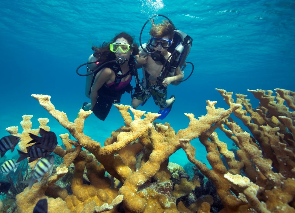 scuba diving in cozumel cruise ships