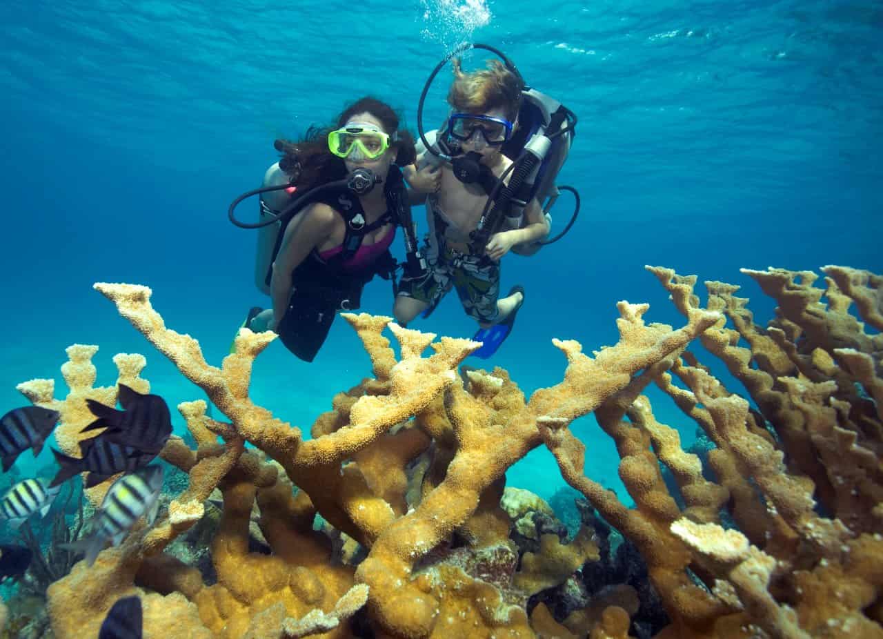 cozumel diving excursions