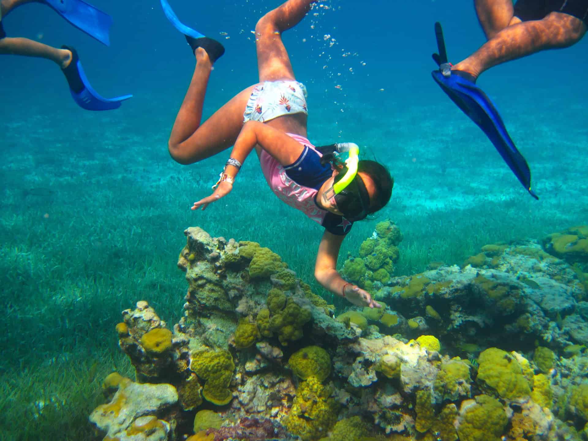 cozumel snorkeling excursions