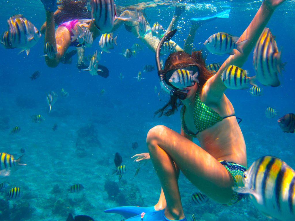 Cozumel Private Snorkeling Tours – Cozumel Cruise Excursions