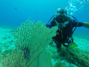 Cozumel Discover Diving