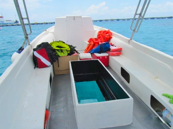 Glass Bottom Snorkeling Cozumel