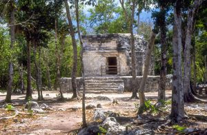 Cozumel Island tours