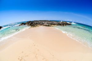 Cozumel Island tours