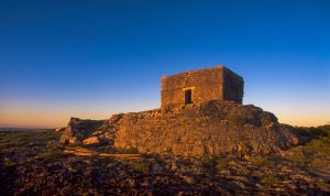 Cozumel Island tours