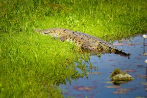 Cozumel Island tours