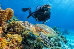 Cozumel Updates 1 12 Best Cozumel Scuba Sites for Cruise Divers